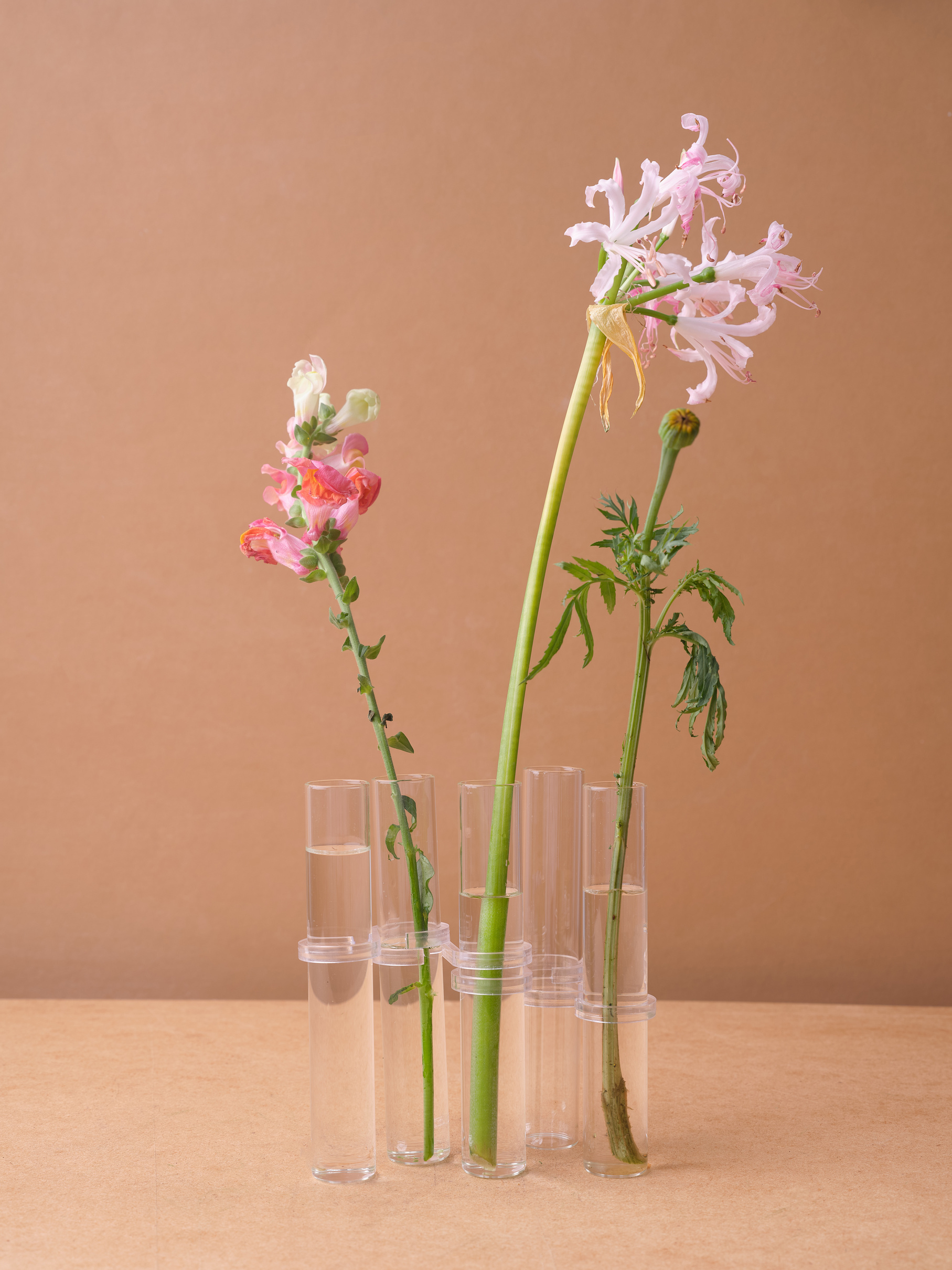 Flowers in Vases 