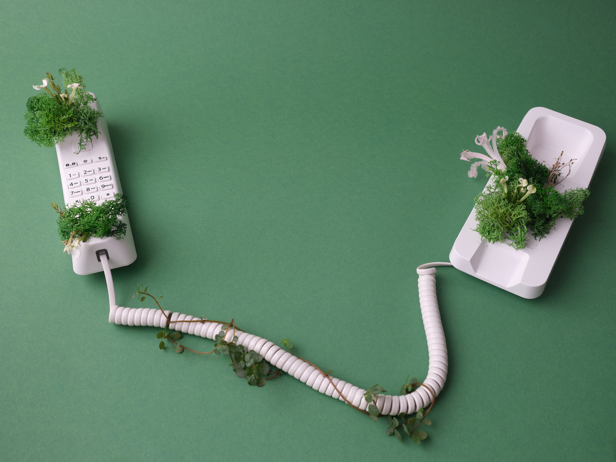 Telephone with Moss 